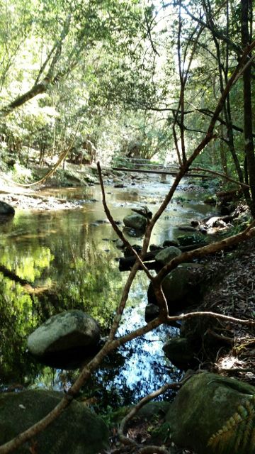20160611_123217 (360x640)